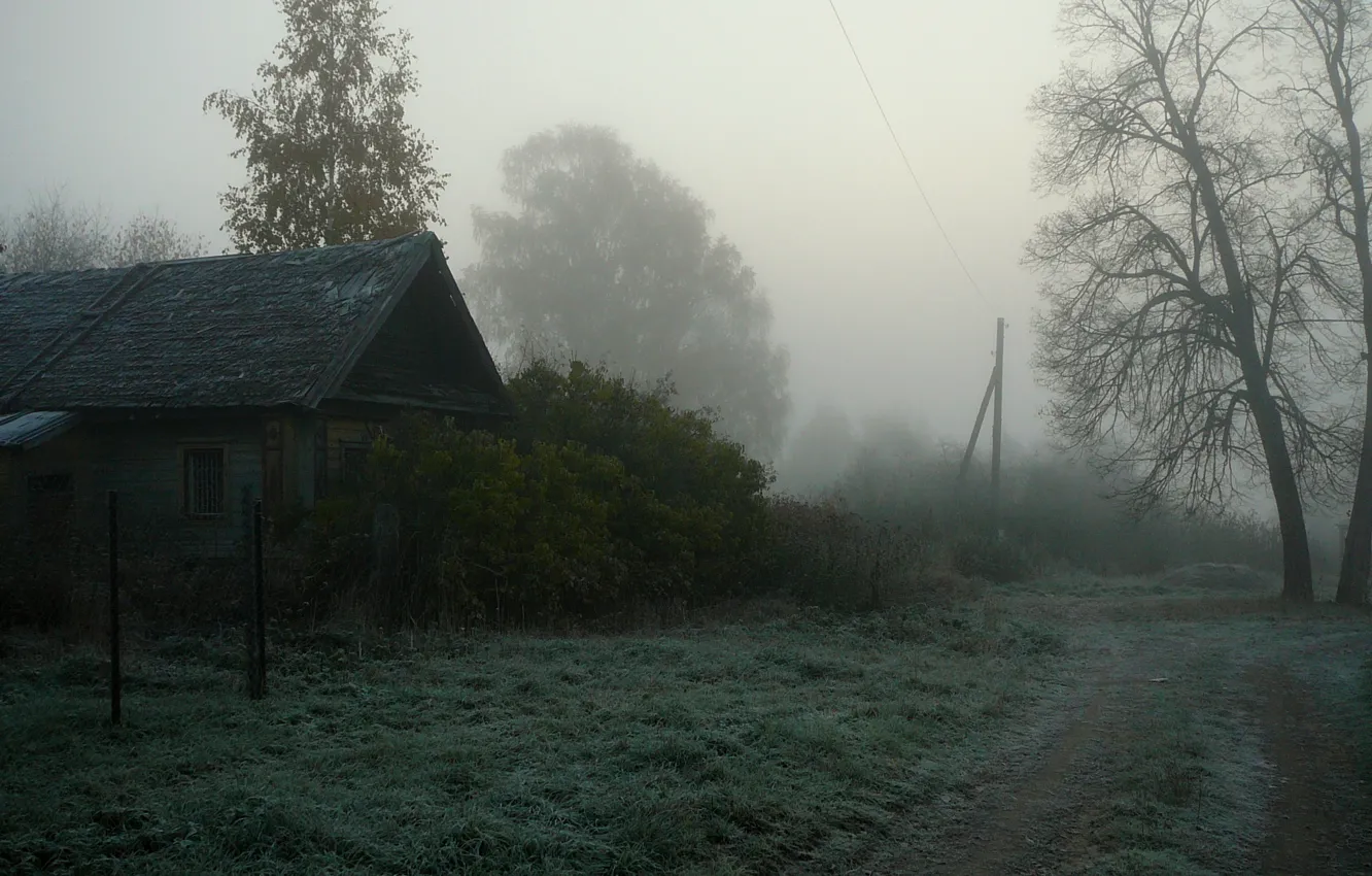 Photo wallpaper fog, house, village