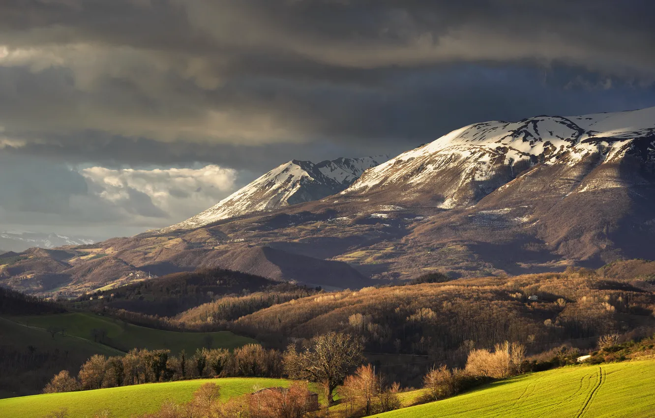 Photo wallpaper field, forest, snow, mountains, clouds, tops, spring, Alba
