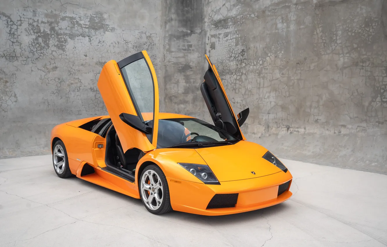 Photo wallpaper orange, Lamborghini, supercar, Lamborghini Murcielago, Murcielago