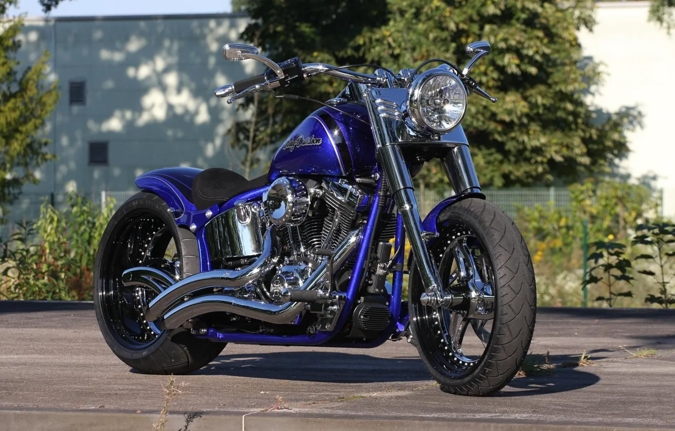 Photo wallpaper Harley Davidson, Blue, Bike, Harley-Davidson, Custom, Compact, Fat Boy, Thunderbike