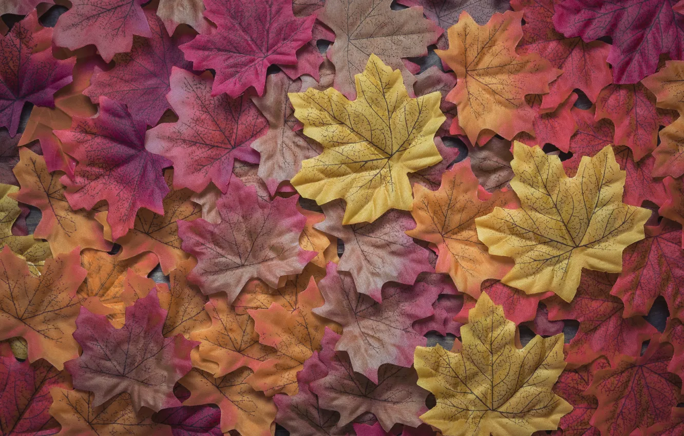 Photo wallpaper autumn, leaves, background, colorful, wood, background, autumn, leaves