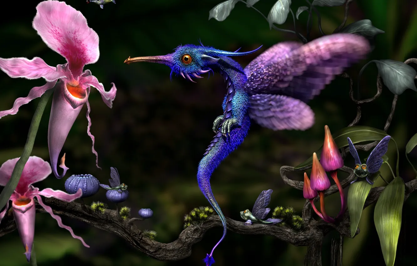 Photo wallpaper vegetation, being, the Hummingbird dragon letsch, The Hummingbird Dragon