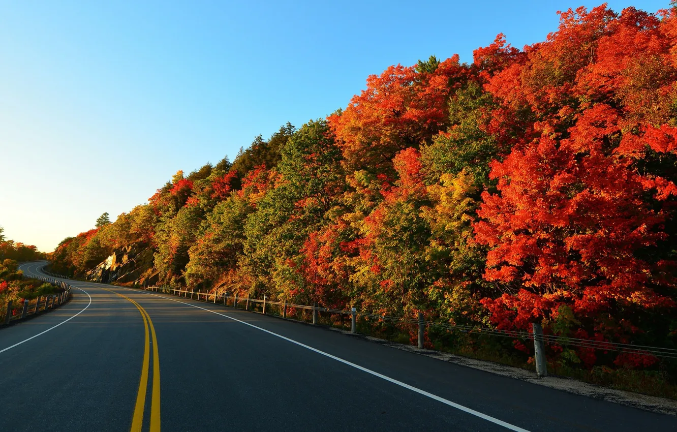 Photo wallpaper road, trees, landscape, highway