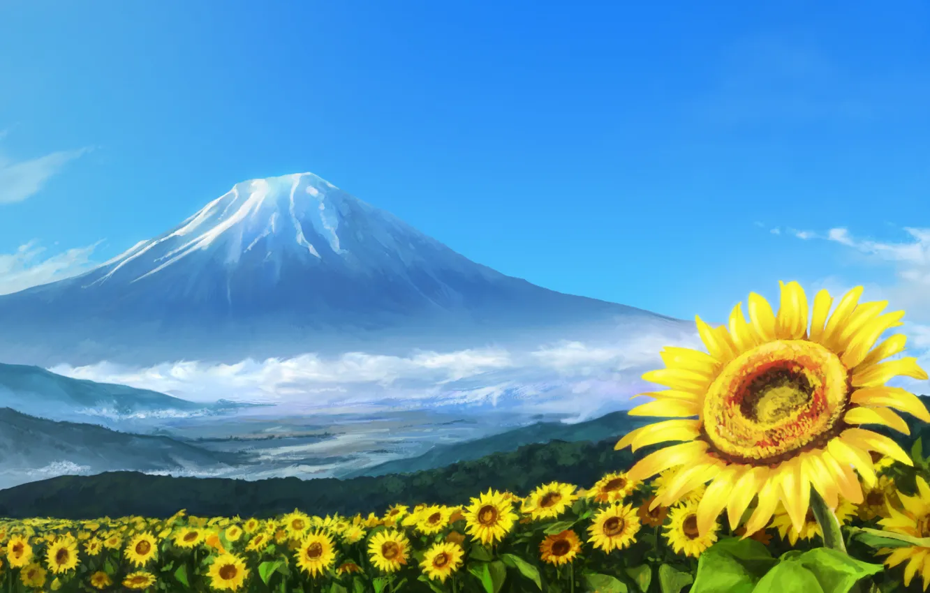Photo wallpaper summer, the volcano, field of sunflowers