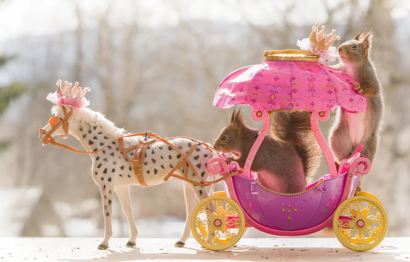 Photo wallpaper animal, toy, pair, coach, a couple, animal, rodent, horse