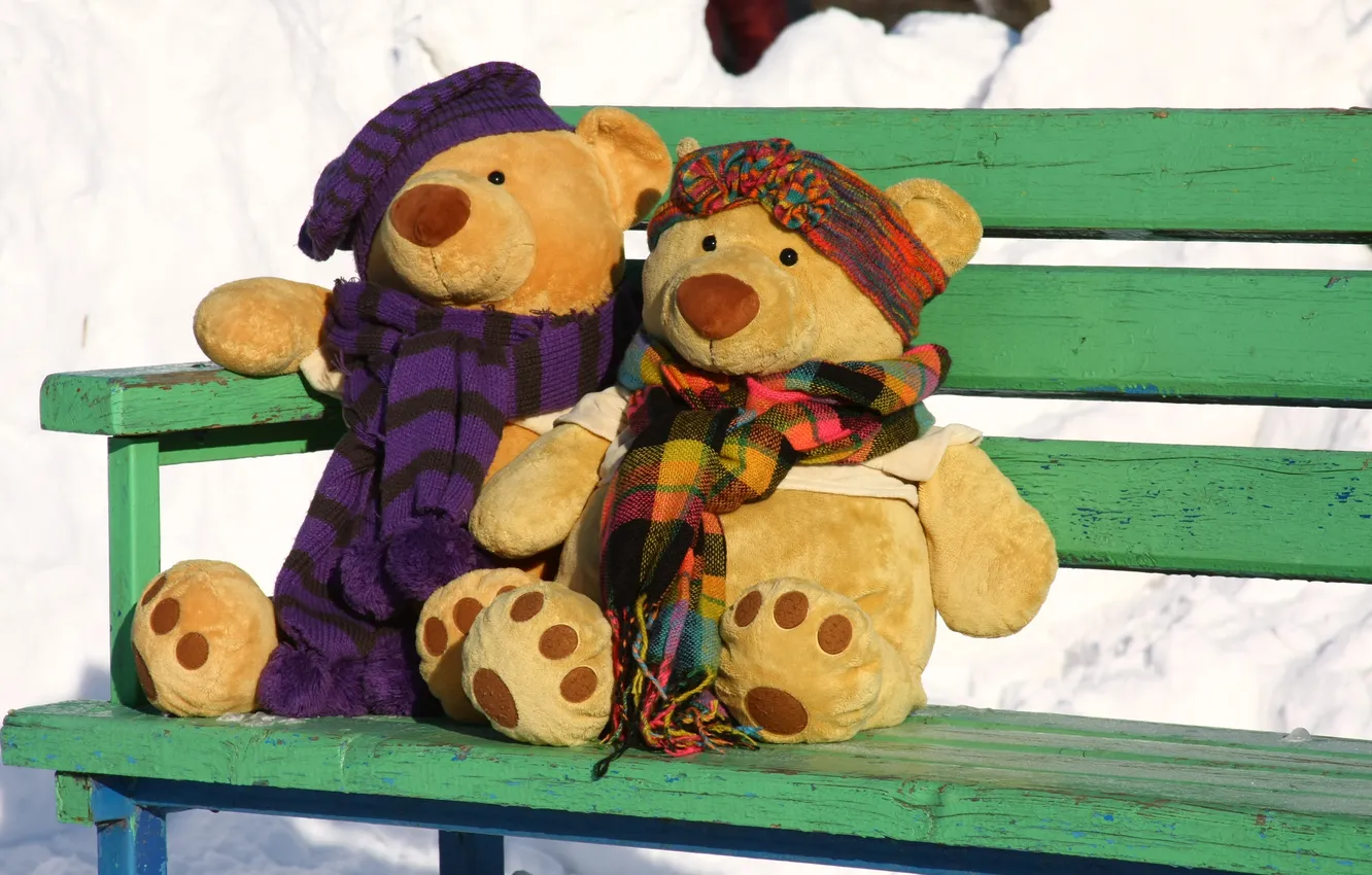 Photo wallpaper love, the situation, bear, pair, walk, date