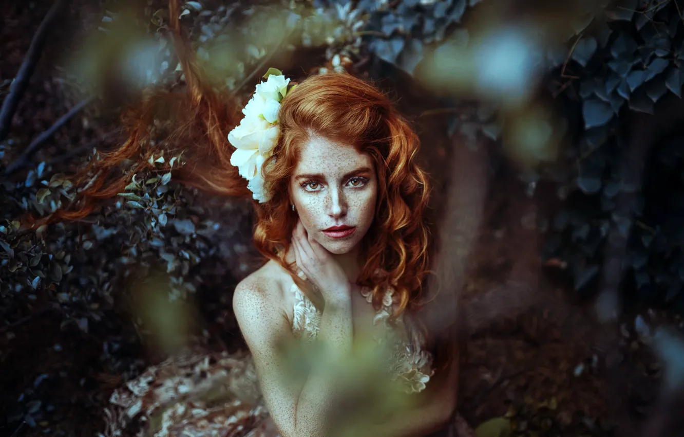 Photo wallpaper forest, flower, look, freckles, red, hairstyle, redhead, curls