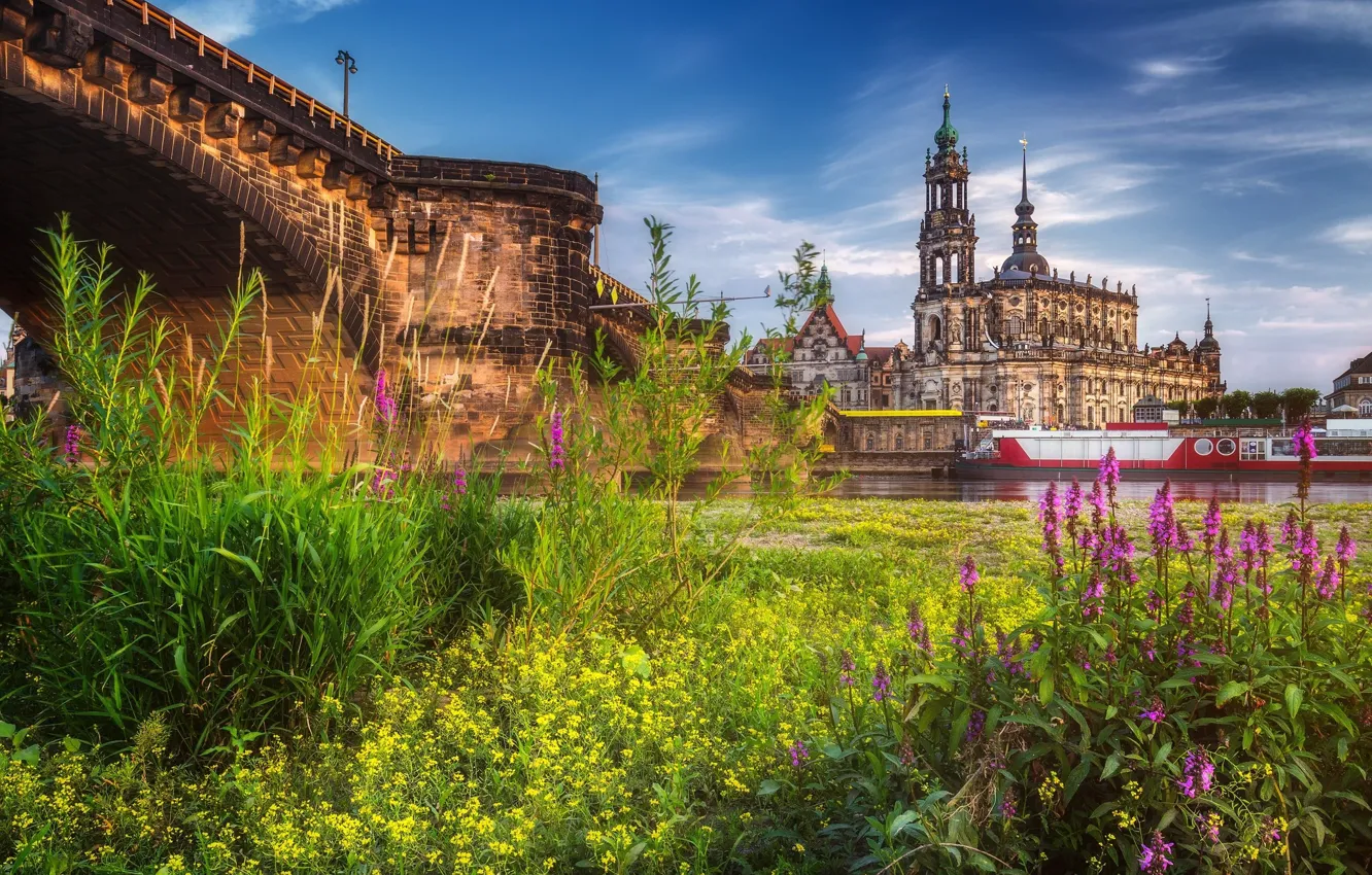 Photo wallpaper the city, Germany, Dresden, meadow, Dresden