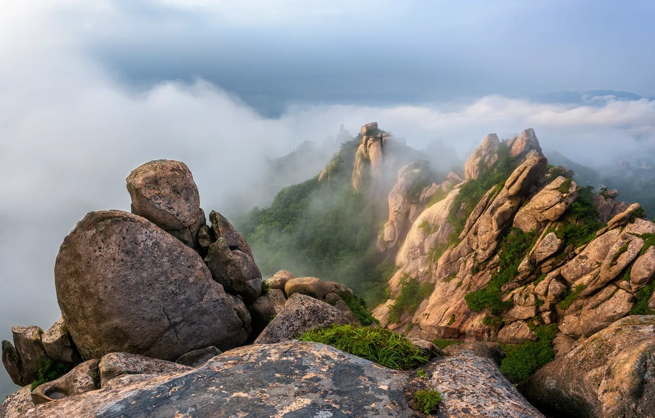 Photo wallpaper clouds, landscape, mountains, nature, fog, South Korea, reserve, Wolchulsan National Park
