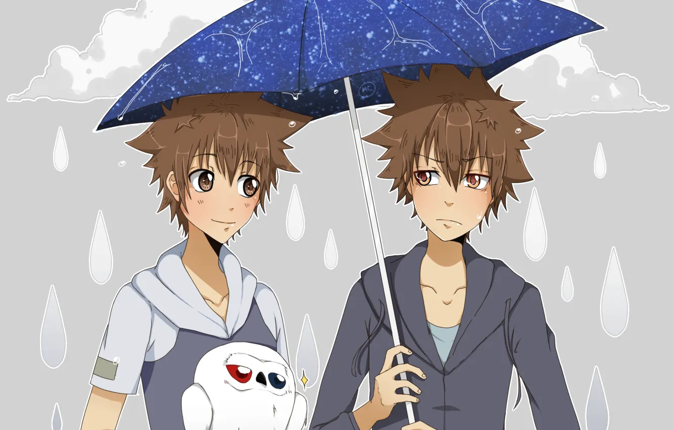 Photo wallpaper rain, umbrella, bird, katekyo Hitman reborn, Sawada Tsuyoshi, Teacher mafia Reborn