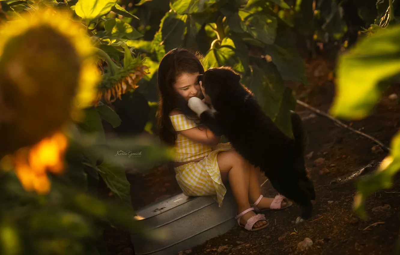 Photo wallpaper sunflowers, nature, children, the game, girl, puppy, Keren Genish