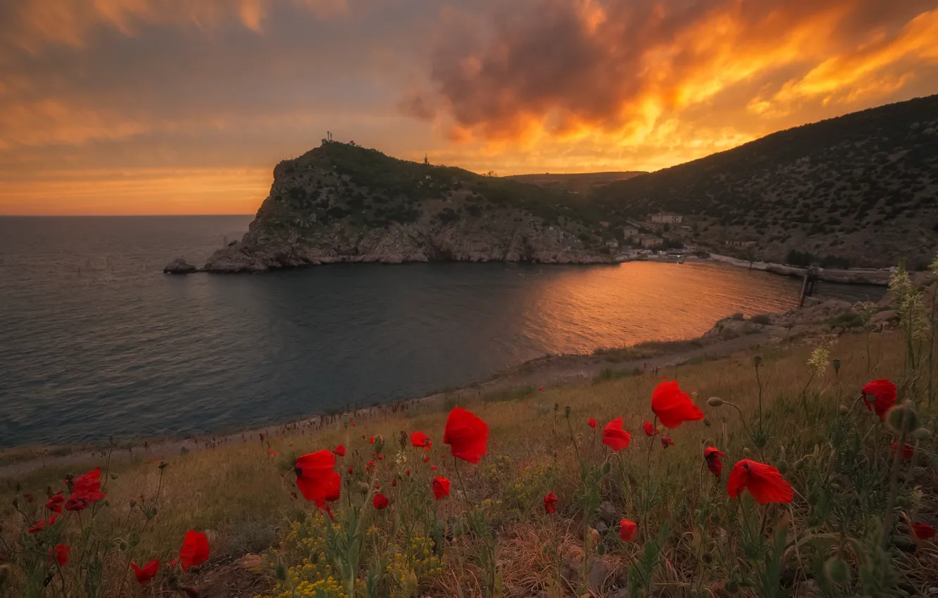 Photo wallpaper landscape, sunset, flowers, nature, rocks, shore, Maki, Bay