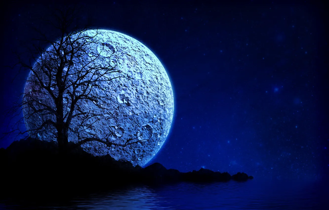 Photo wallpaper stars, trees, night, the moon