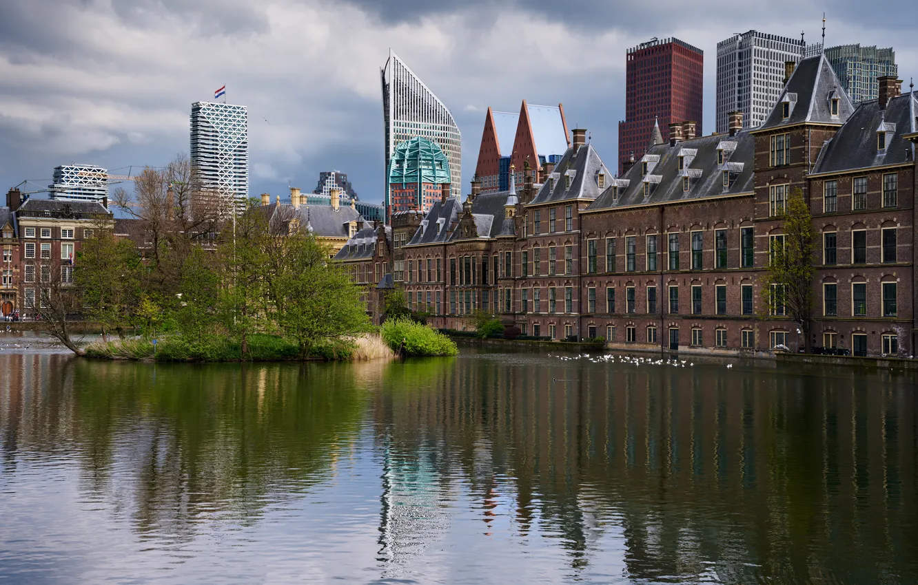 Photo wallpaper pond, building, Netherlands, The Hague