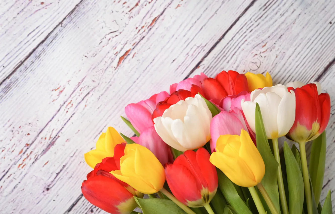 Photo wallpaper flowers, colorful, tulips, wood, flowers, tulips, spring
