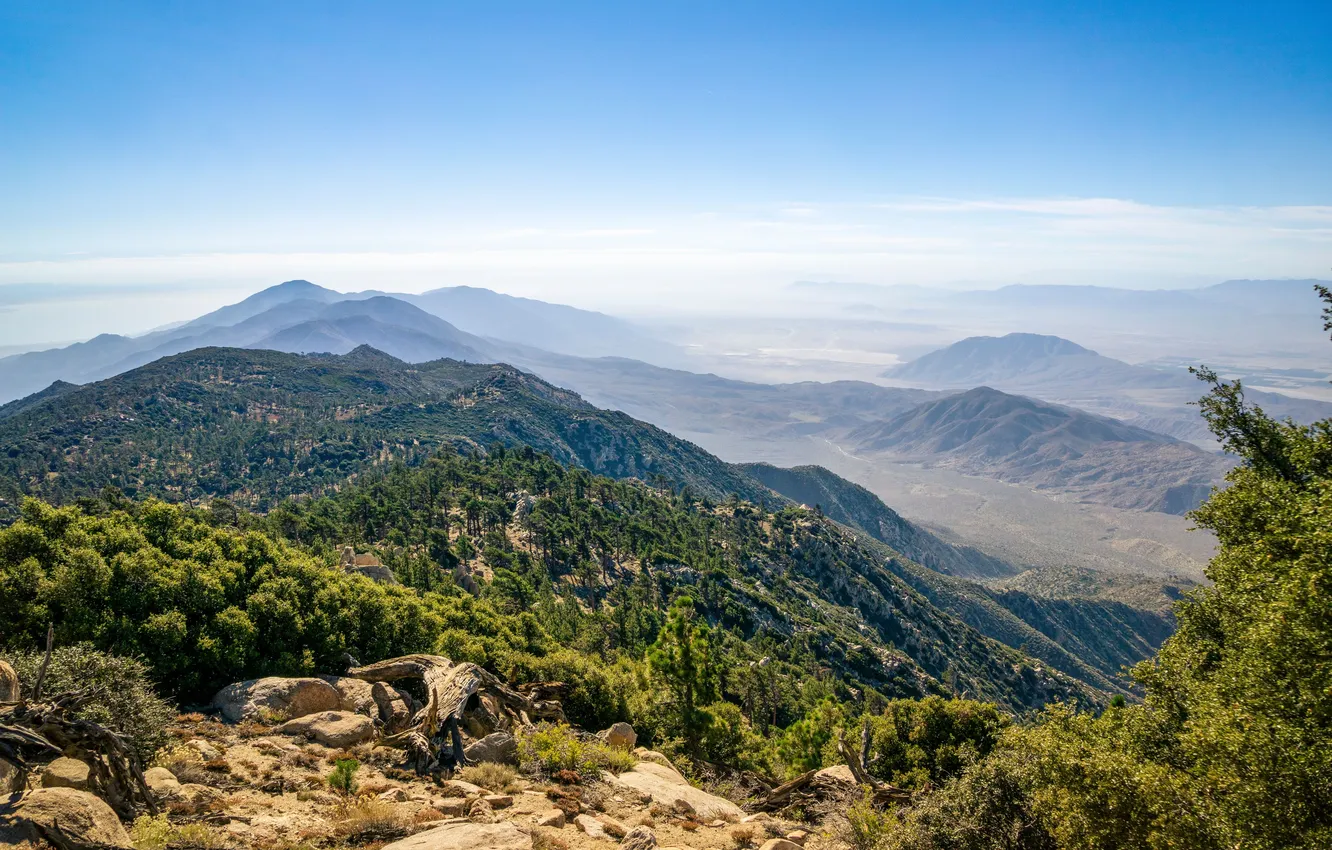 Photo wallpaper rocks, woods, canyon, Terrain, pine tree, wanderlust, cliff, Peak