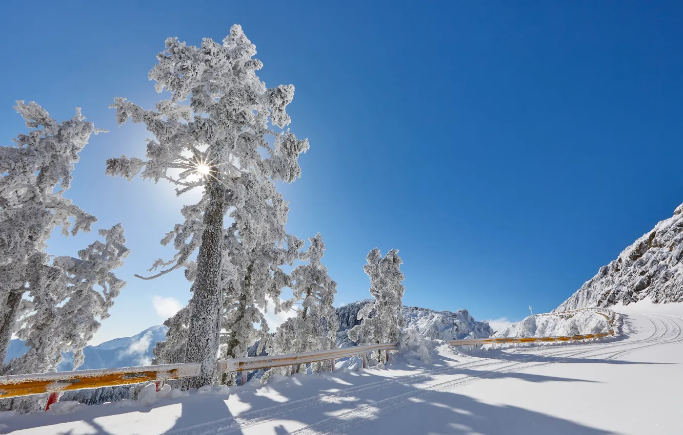 Photo wallpaper winter, road, the sky, snow, trees