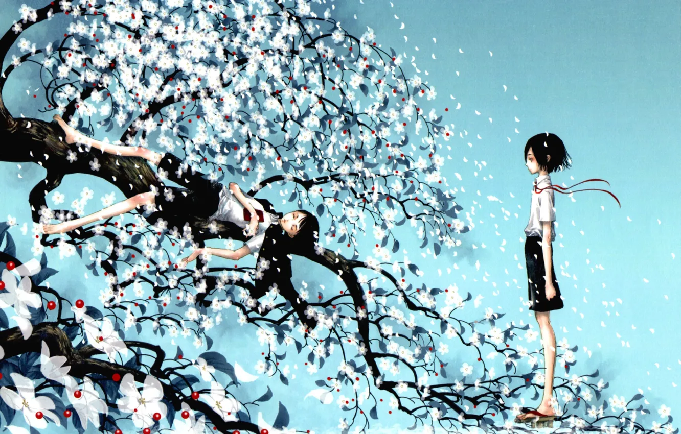 Photo wallpaper flowers, berries, tree, anime, Sakura, form, boys