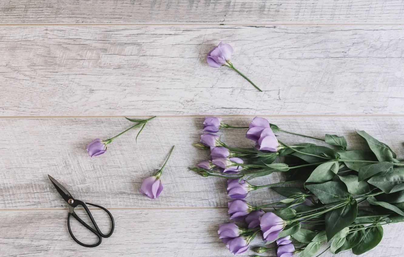 Photo wallpaper bouquet, wood, flowers, beautiful, purple, decor, eustoma