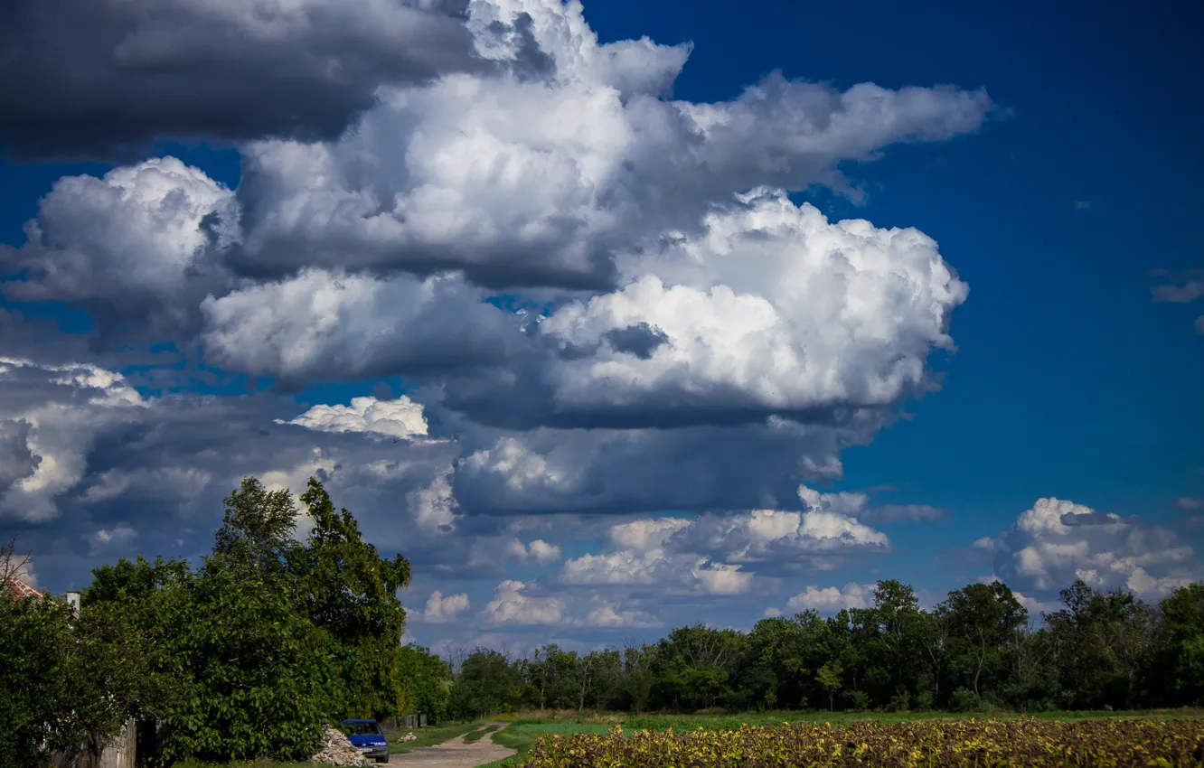 Photo wallpaper The sky, Nature, Clouds, Trees, Nature, Clouds, Sky, Field