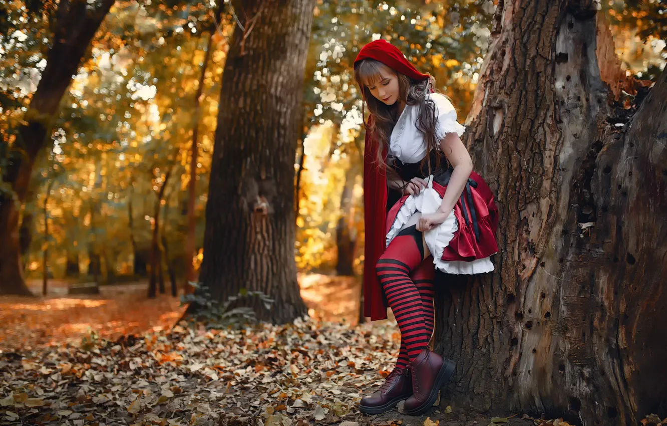 Photo wallpaper girl, little red riding hood, fairy tale, Vladimir Osaulenko