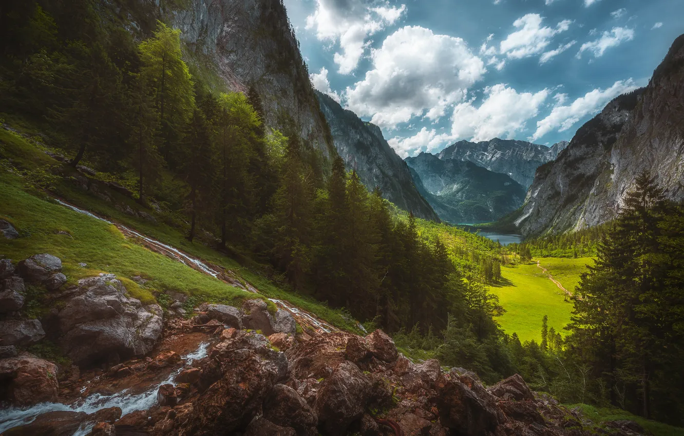 Photo wallpaper forest, clouds, mountains, ate, slope, late