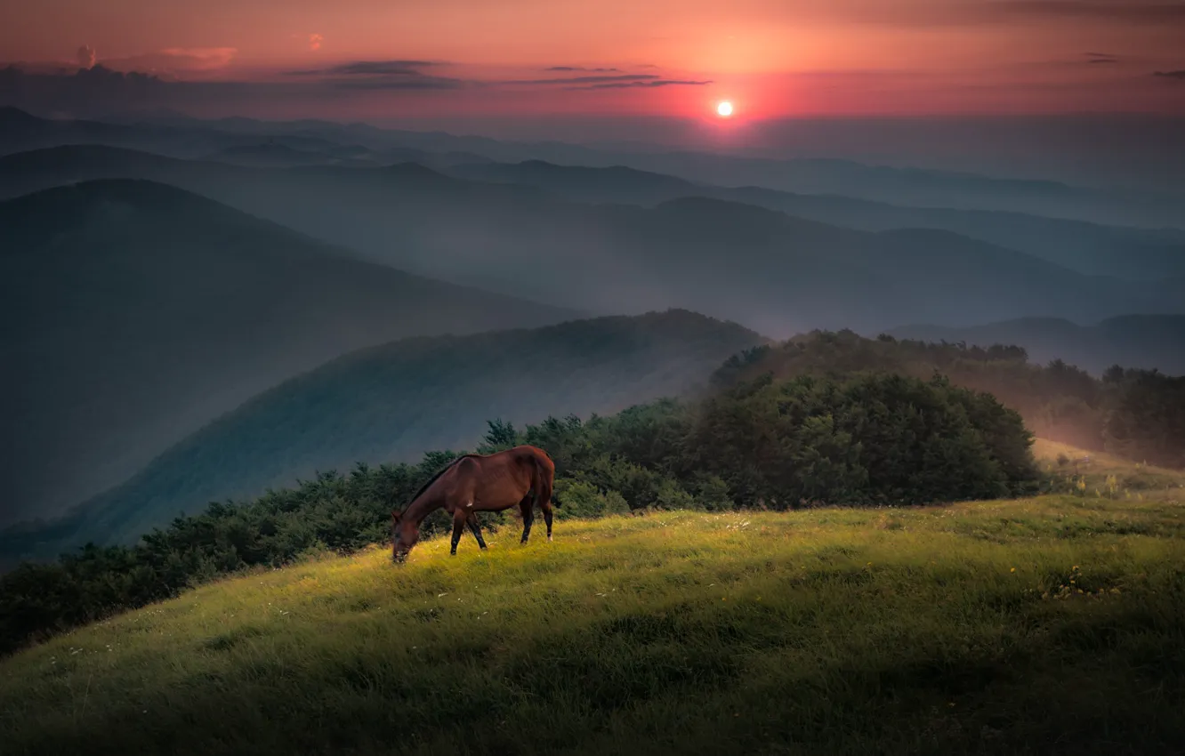 Photo wallpaper horse, mountains, fog, meadow, horse, landscape, sunset