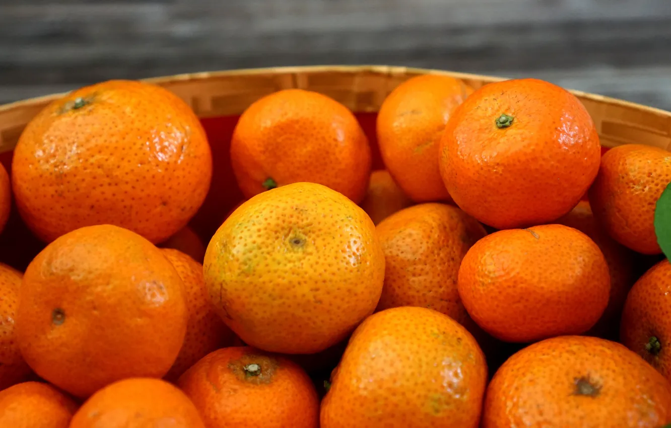 Photo wallpaper close-up, citrus, a lot, tangerines, the vessel