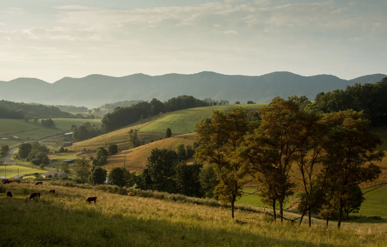 Photo wallpaper field, forest, animals, trees, mountains, nature, house, cows