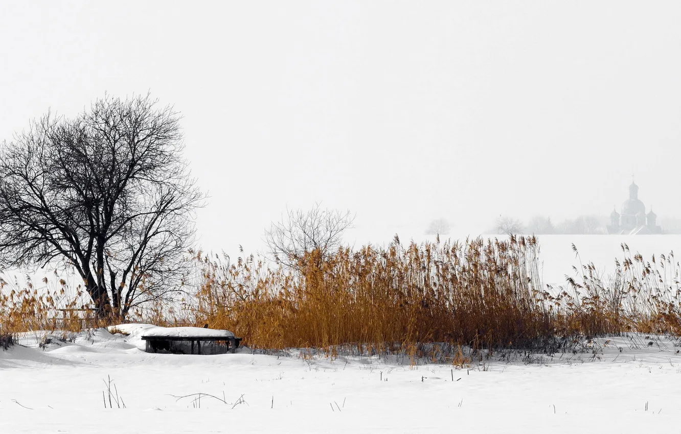Photo wallpaper winter, field, fog