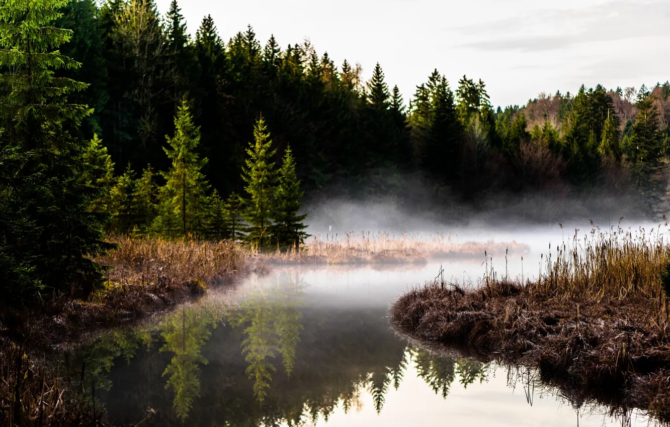 Photo wallpaper lake, Germany, Germany, Bavaria, Hackensee