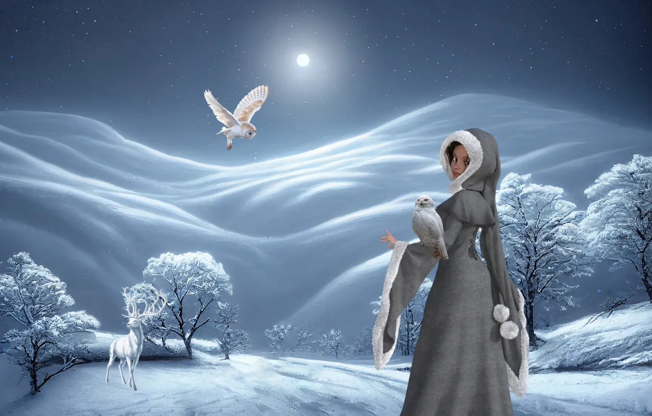 Photo wallpaper winter, frost, field, animals, look, girl, snow, trees