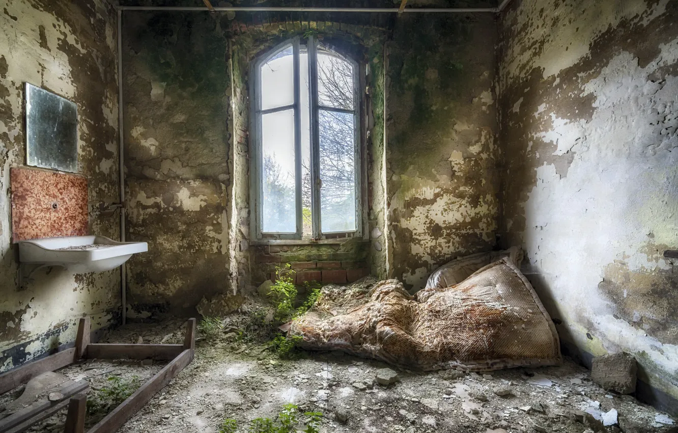 Photo wallpaper room, interior, window