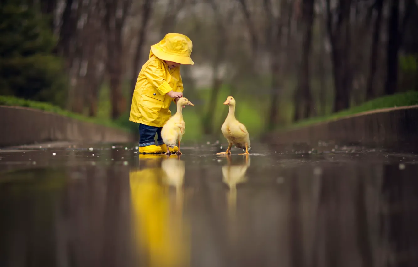 Photo wallpaper children, reflection, bird, the goslings, yellow raincoat