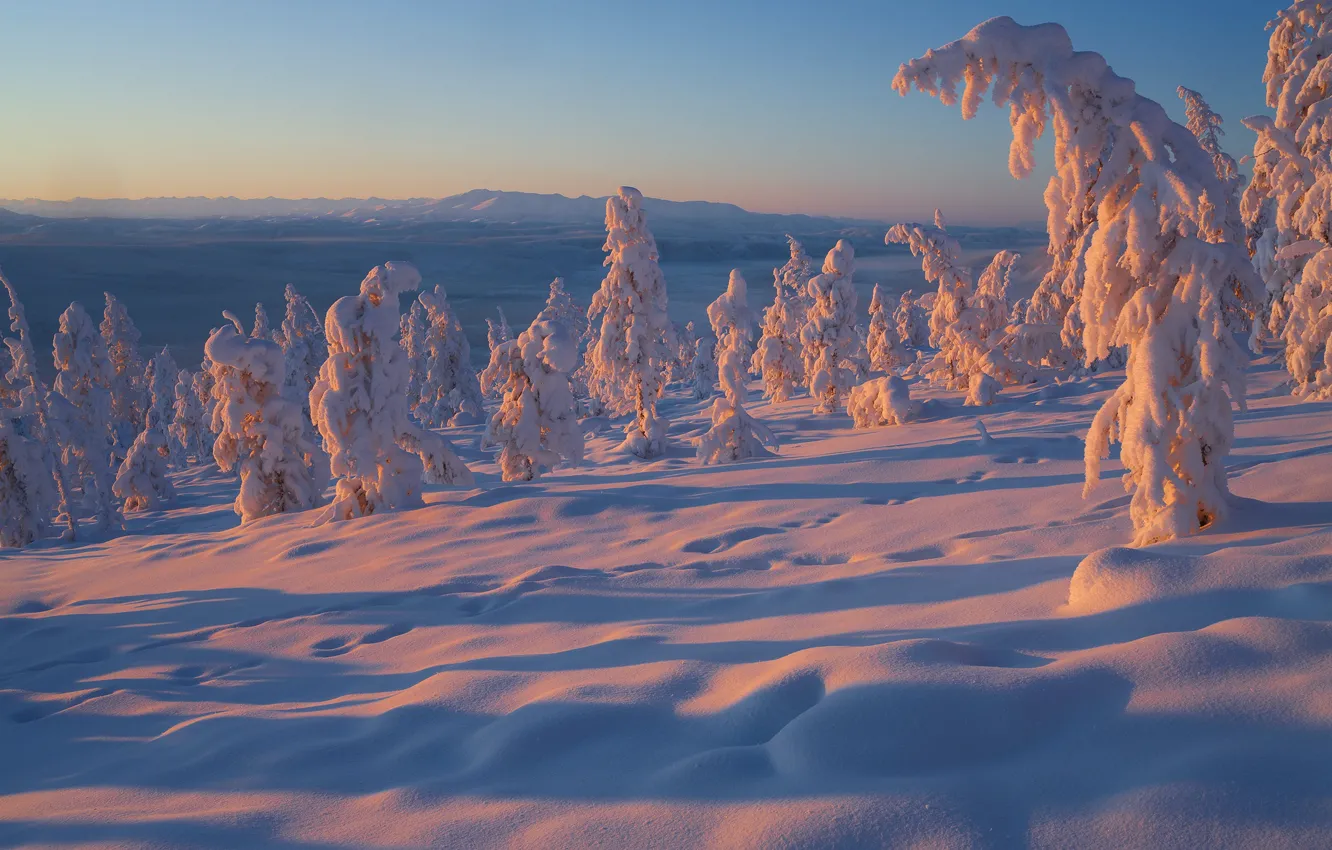 Photo wallpaper winter, snow, trees, Russia, Yakutia, Vladimir Ryabkov