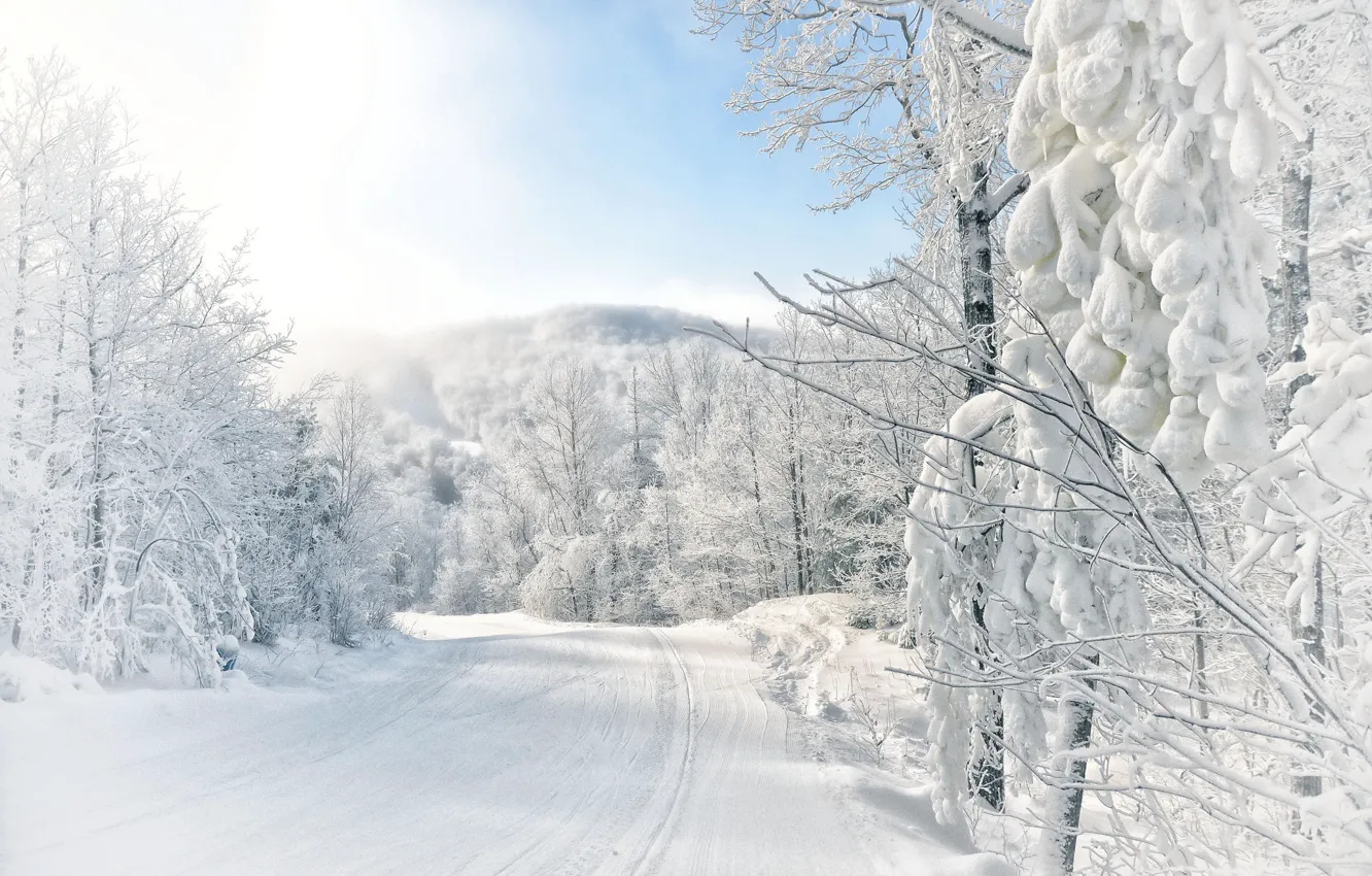 Photo wallpaper winter, frost, road, forest, white, the sky, light, snow
