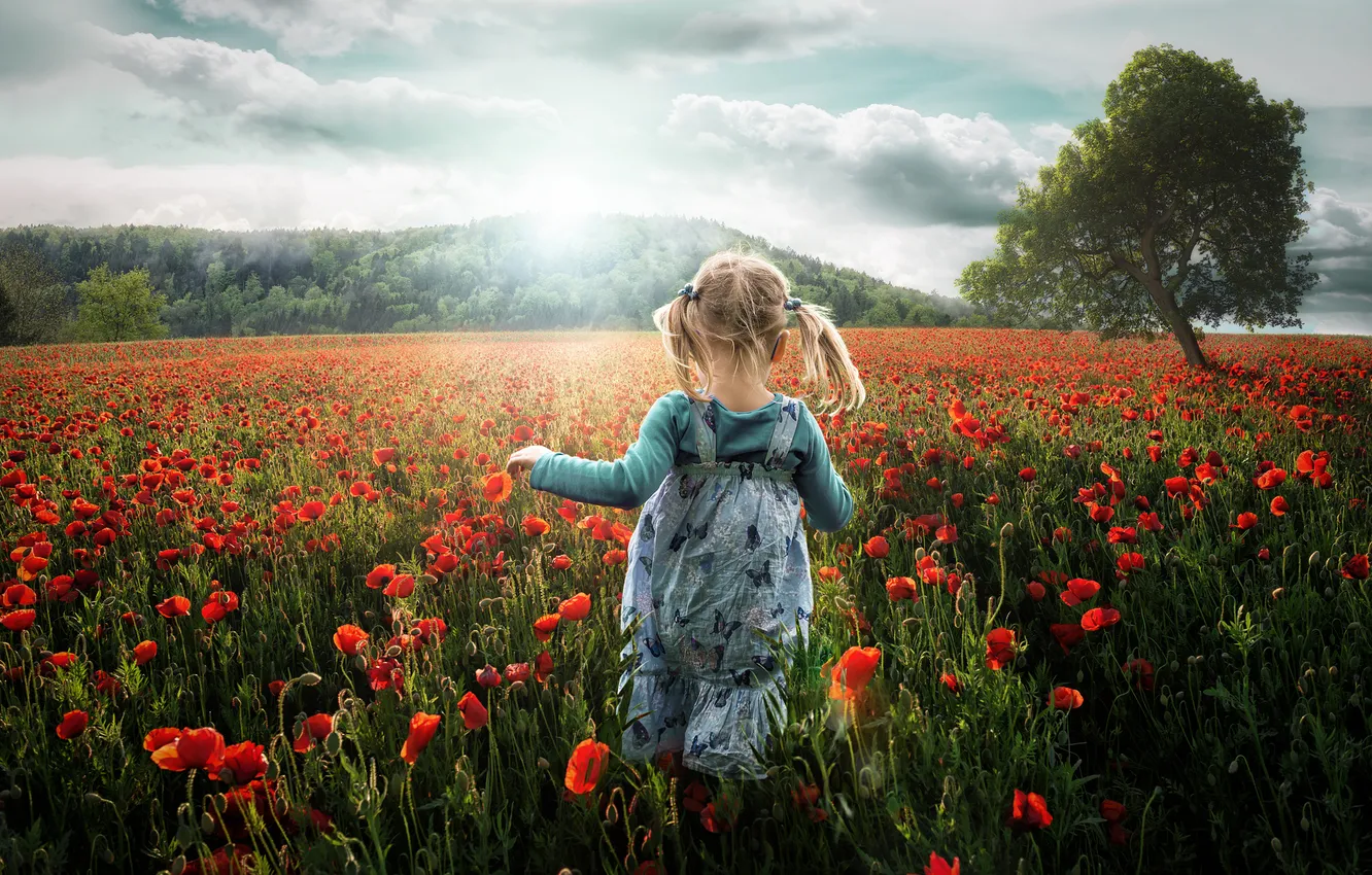 Photo wallpaper field, summer, the sky, grass, flowers, children, mood, Mac