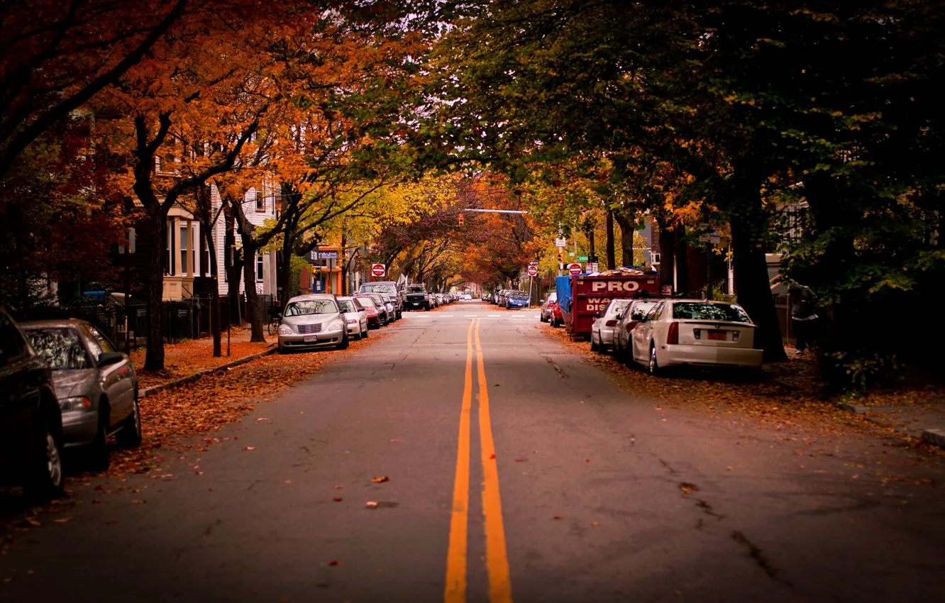 Photo wallpaper road, machine, trees, USA, Cambridge, Cambridge