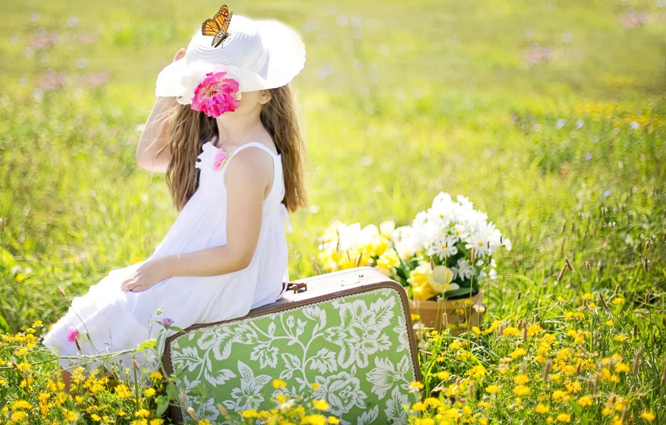Photo wallpaper field, summer, flowers, nature, collage, butterfly, hat, girl