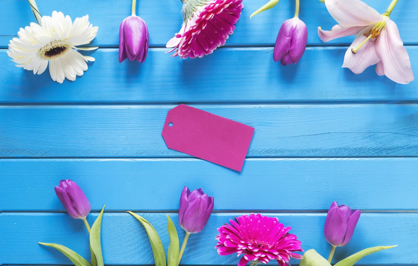 Photo wallpaper flowers, Lily, tulips, gerbera