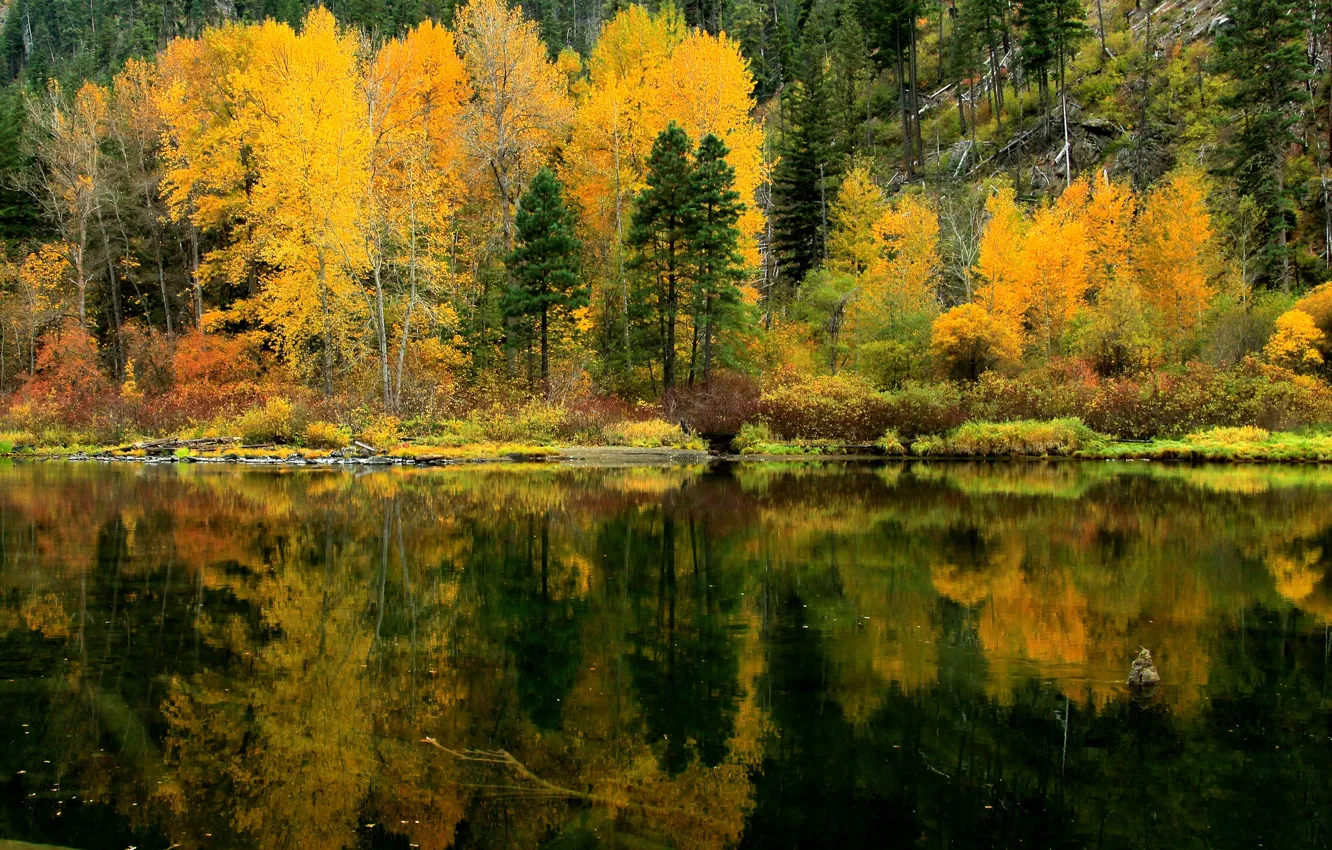 Photo wallpaper autumn, forest, trees, lake, reflection, slope