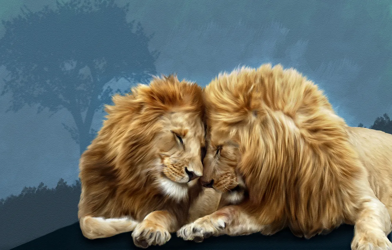 Photo wallpaper lions, Photoshop, brotherly love