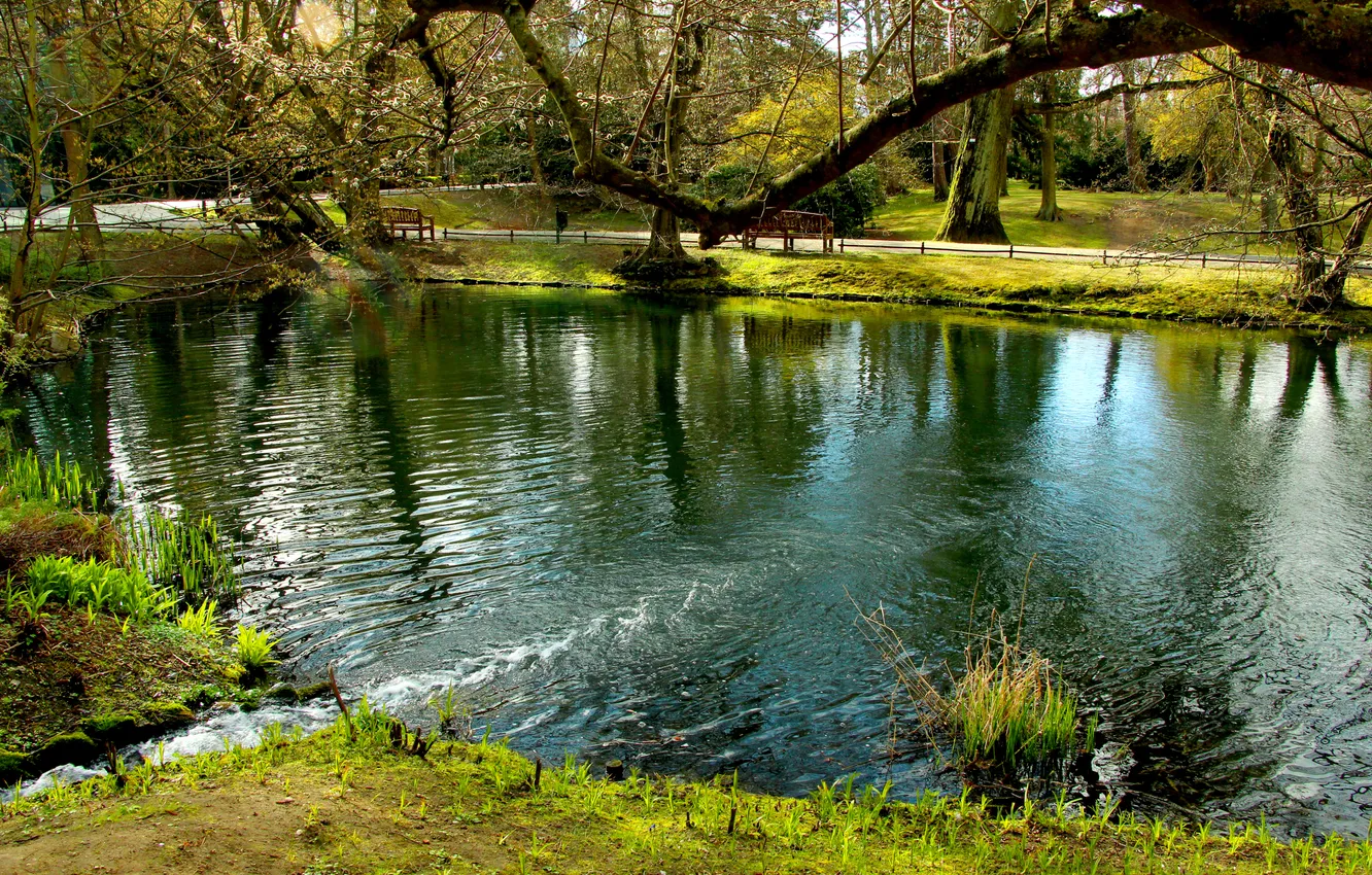 Photo wallpaper water, park, lake, pond