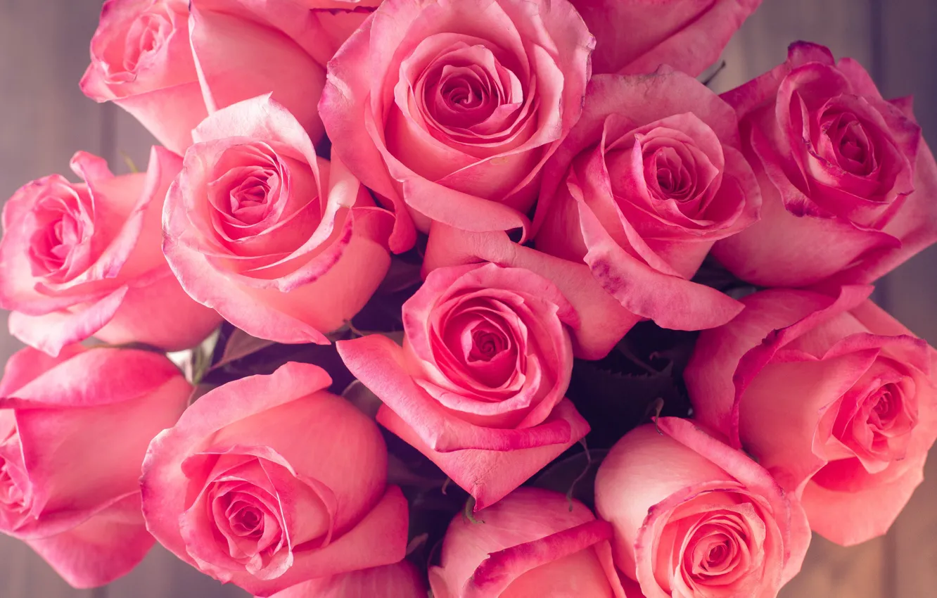 Photo wallpaper roses, bouquet, pink, roses, bouguet, Abelena