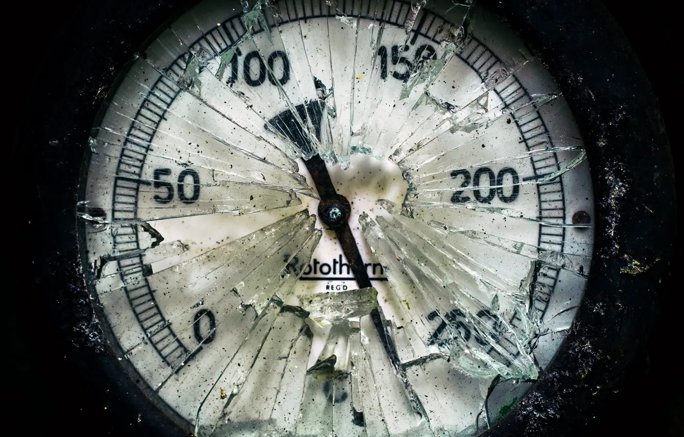 Photo wallpaper macro, background, devices