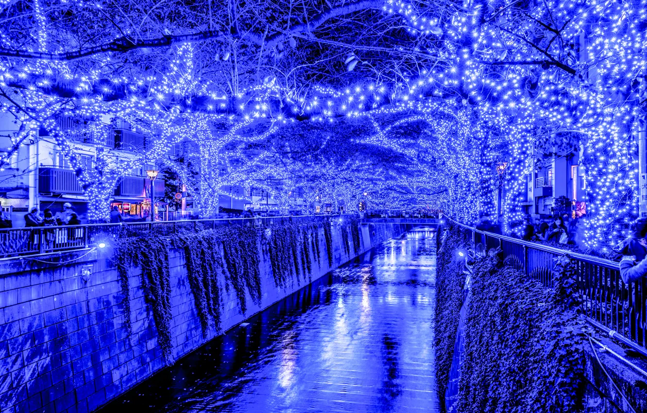 Photo wallpaper lights, holiday, the evening, Japan, Tokyo