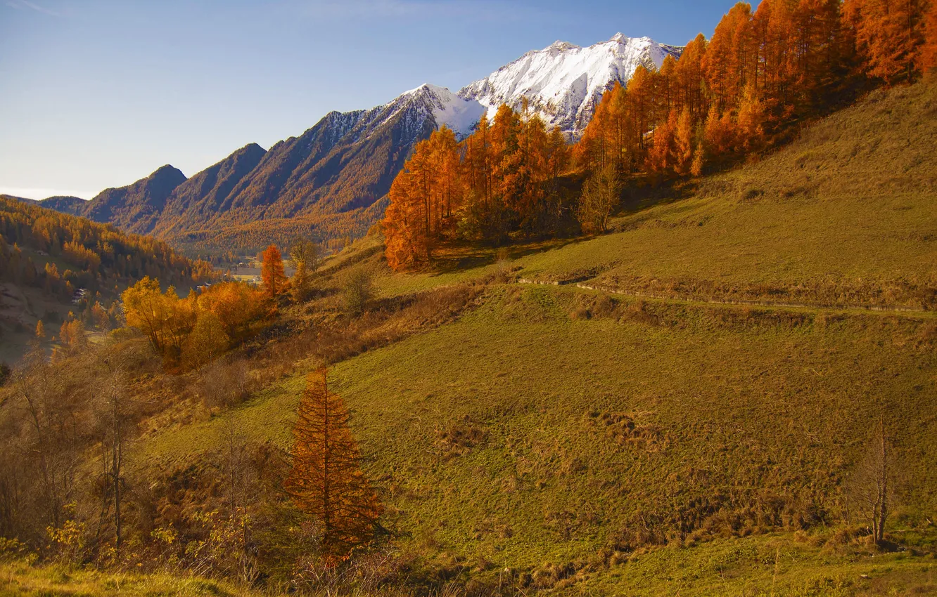 Photo wallpaper autumn, snow, trees, mountains, slope