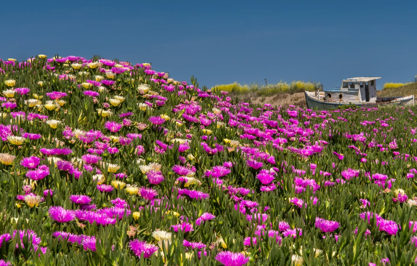 Photo wallpaper flowers, lake, hills, boat, ship