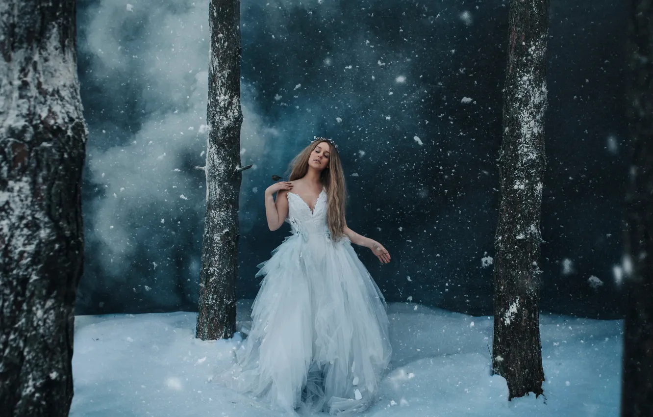 Photo wallpaper winter, forest, girl, snow, night, pose, fog, trunks