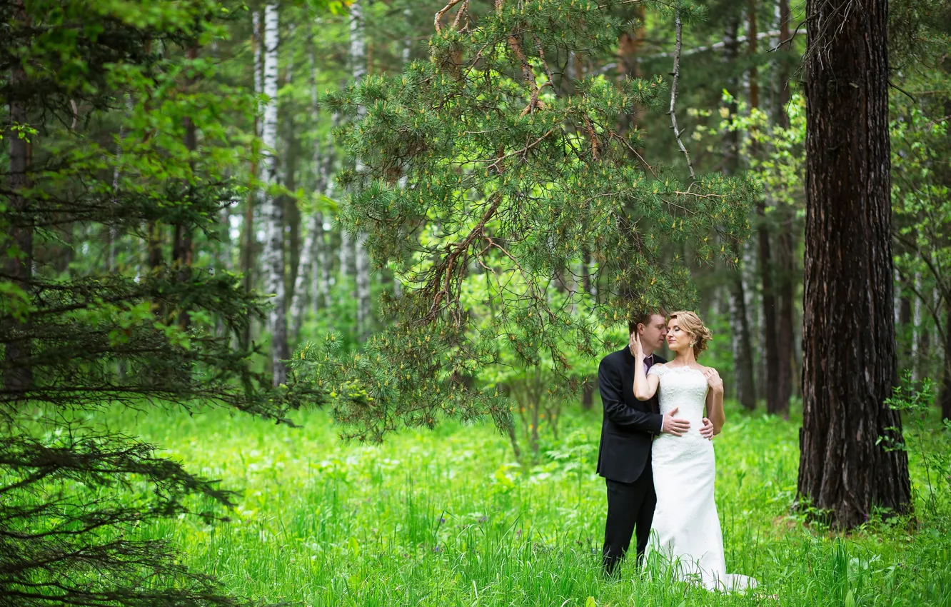 Photo wallpaper forest, girl, love, hugs, male, lovers, the bride, wedding